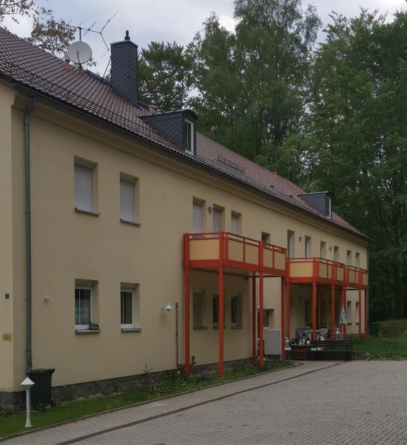 Ferienwohnung Mit Blick Ins Grune Sebnitz Ngoại thất bức ảnh